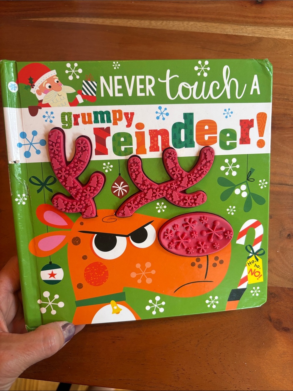 Never touch a grumpy reindoor hard cover baby book
